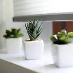Apartment Feel Good Penthouse With Jacuzzi *