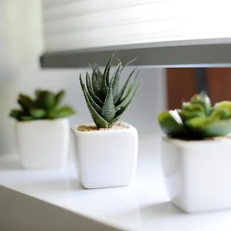 Апартаменты Feel Good Penthouse With Jacuzzi *