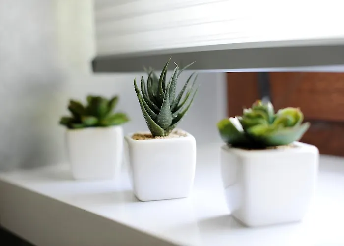 Lägenhet Feel Good Penthouse With Jacuzzi *